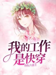 我的工作是快穿 封面