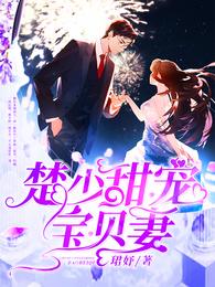 楚少甜宠宝贝妻 封面
