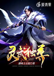 灵武独尊 封面