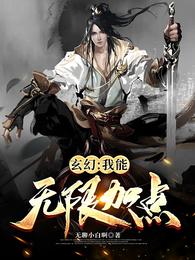 玄幻:我能无限加点 封面