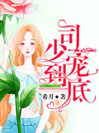 司少，一宠到底 封面