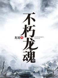 不朽龙魂 封面