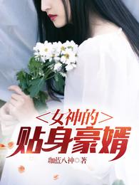 女神的贴身豪婿 封面