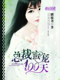 总裁蜜宠100天 封面