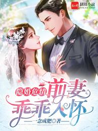 隐婚危情：前妻乖乖入怀 封面