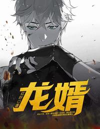 龙婿 封面