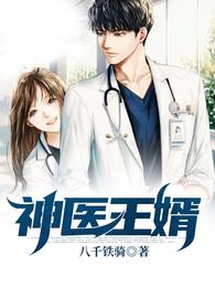 神医王婿 封面