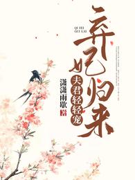 弃妃归来：夫君，轻轻宠 封面
