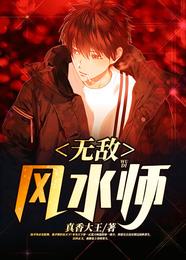 无敌风水师 封面