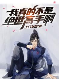 我真的不是绝世高手啊 封面