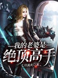我的老婆是绝顶高手 封面
