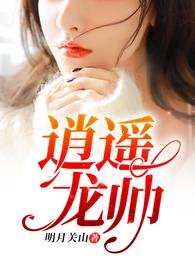 逍遥龙帅 封面
