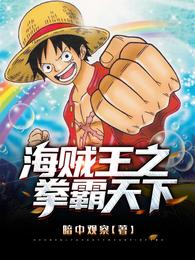 海贼王之拳霸天下 封面