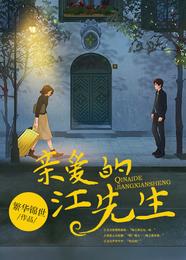 亲爱的江先生 封面