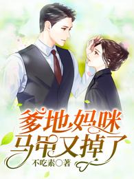 爹地，妈咪马甲又掉了 封面