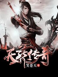 天葬传奇 封面