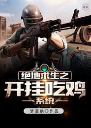 绝地求生之开挂吃鸡系统 封面