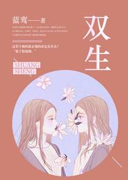 双生 封面