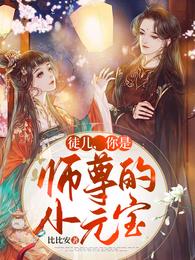 徒儿,你是师尊的小元宝 封面