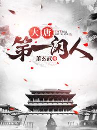大唐第一闲人 封面