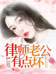 律师老公有点坏 封面