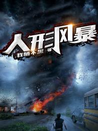 人形风暴 封面