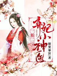 一胎二宝：弃妃小神医 封面