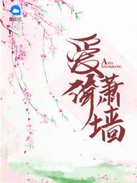爱倚萧墙 封面