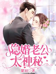 隐婚老公太神秘 封面