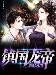 镇国龙帝 封面