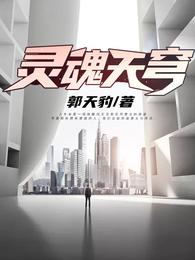 灵魂天穹 封面