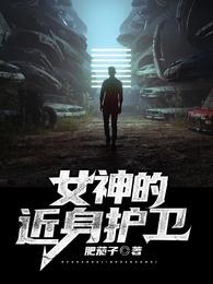 女神的近身护卫 封面