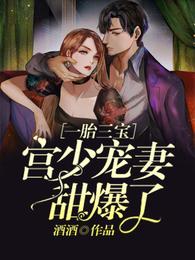 一胎三宝：宫少宠妻甜爆了 封面