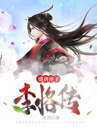 盛唐逆子：李恪传 封面