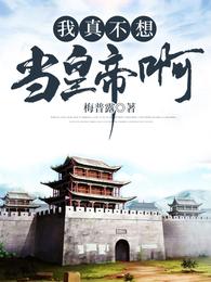 我真不想当皇帝啊 封面