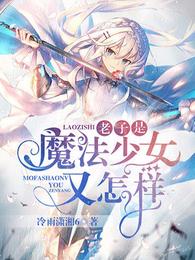 老子是魔法少女又怎样 封面