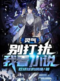 灵气：别打扰我看小说 封面