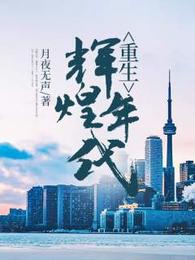 重生辉煌年代 封面