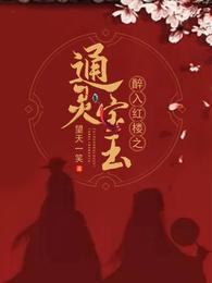 醉入红楼之通灵宝玉 封面
