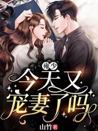 雍少今天又宠妻了吗 封面