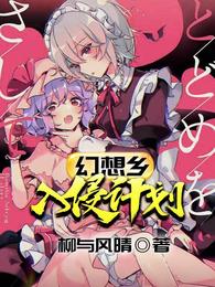 幻想乡入侵计划 封面