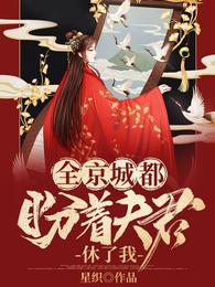 全京城都盼着夫君休了我 封面