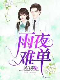 雨夜难单 封面