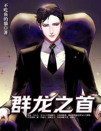 群龙之首 封面