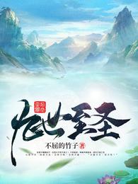 九世至圣 封面
