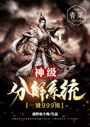 神级分解系统一键999级 封面