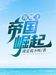 海贼王:帝国崛起 封面