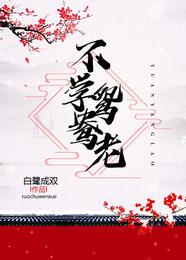 不学鸳鸯老 封面