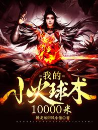 我的小火球术10000米 封面