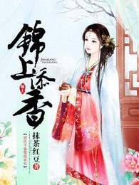 锦上添香 封面